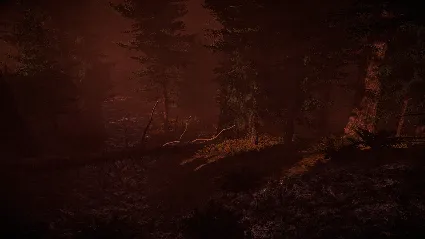 Honey Time! with Pooh! АВТОДОСТАВКА STEAM GIFT РОССИЯ