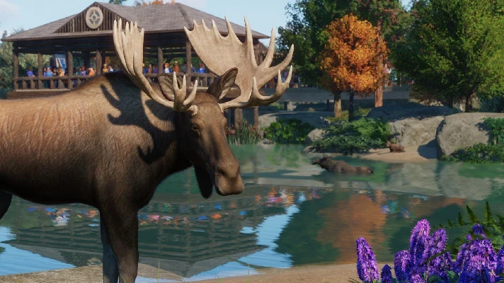 ✅Planet Zoo North America Animal Pack⭐Steam\DLC\Key⭐+🎁