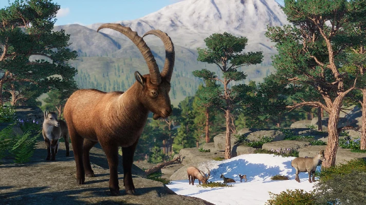 ✅Planet Zoo: Europe Pack ⭐Steam\DLC\RegionFree\Key⭐ +🎁