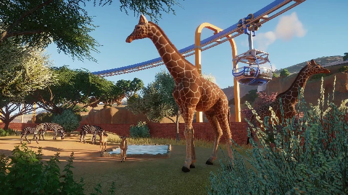 ✅Planet Zoo Deluxe Edition ⚫STEAM🔑KEY🌎RU+CIS +🎁