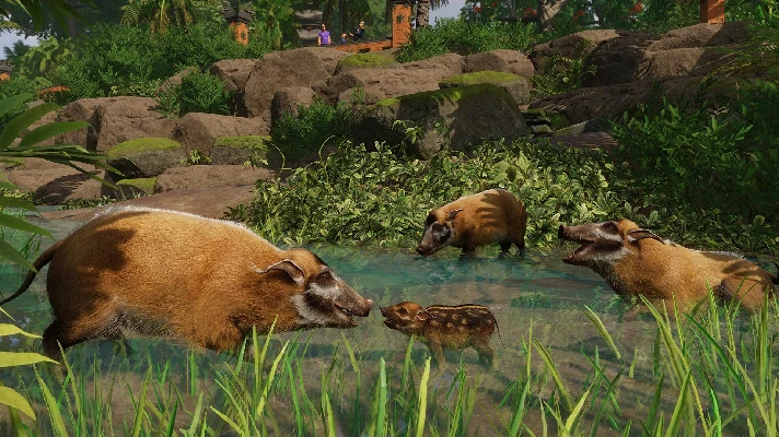 ✅Planet Zoo: Tropical Pack ⚫STEAM🔑KEY⭐DLC🌎GLOBAL +🎁