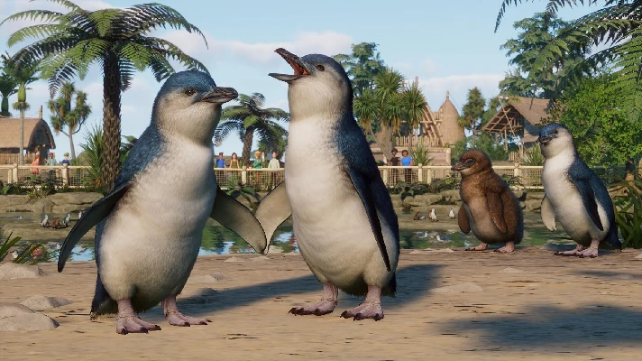 ✅Planet Zoo: Oceania Pack⭐Steam\DLC\RegionFree\Key⭐ +🎁