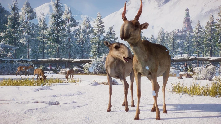 ✅Planet Zoo: Eurasia Animal Pack⚫STEAM🔑KEY⭐DLC🌎GLOBAL