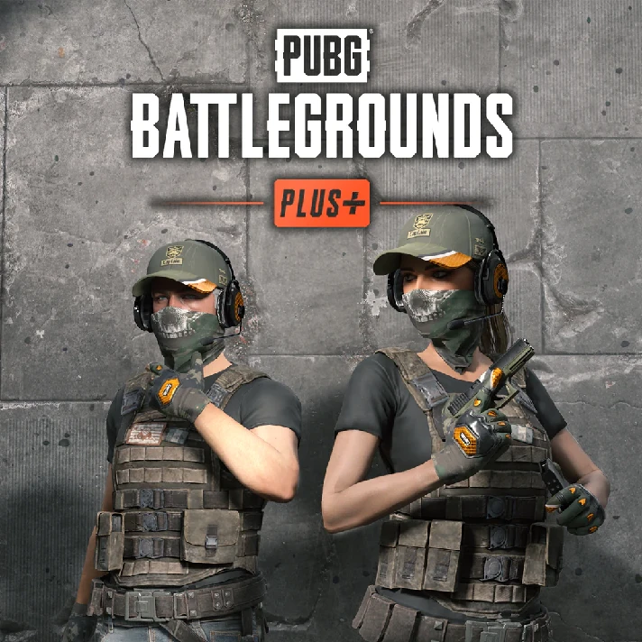 🔥PUBG PLUS (PAID VERSION)🔥NO BAN🔥ONLINE🔥