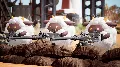 🔥 Palworld | Steam РУ+UA+KZ+СН — фото 4