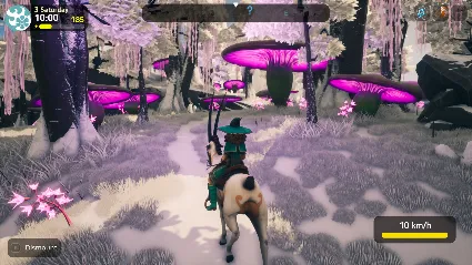 The Witch of Fern Island - STEAM GIFT РОССИЯ