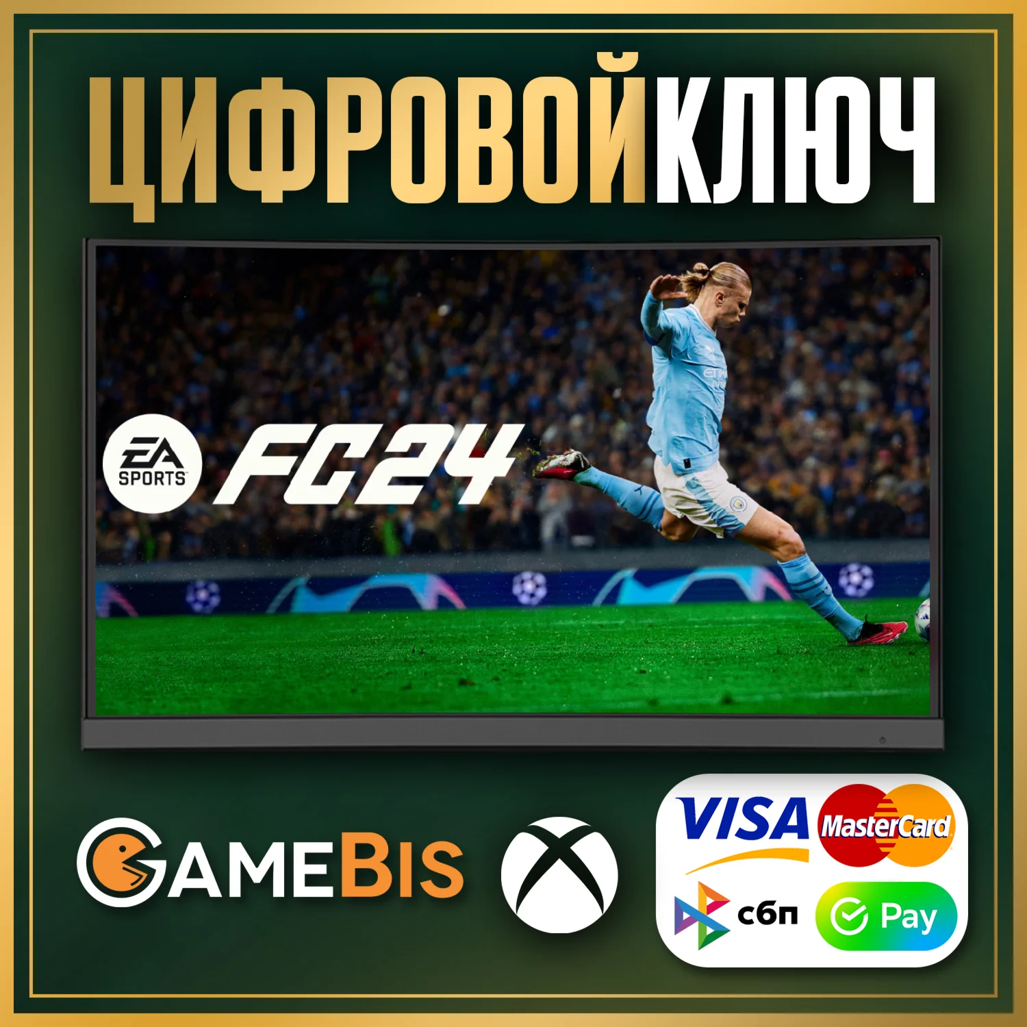  EA SPORTS FC 24 STANDARD XBOX ONE/SERIES X|S0%