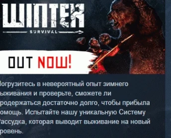 Winter Survival  АВТОДОСТАВКА STEAM GIFT РОССИЯ