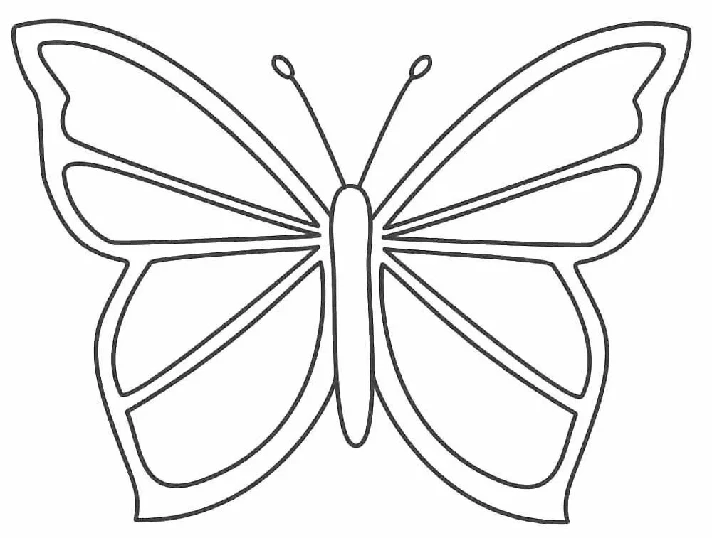 Butterfly stencils for cutting out templates