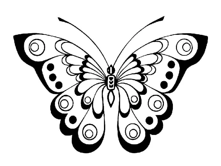 Butterfly stencils for cutting out templates