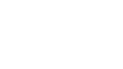 🔥 The Falconeer | Steam РУ+UA+KZ+СНГ 🔥