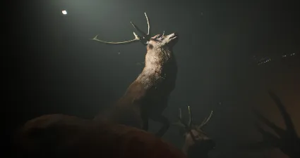 Project 13: Taxidermy Trails 💎 АВТОДОСТАВКА STEAM GIFT