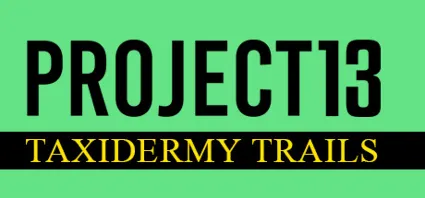 Project 13: Taxidermy Trails 💎 АВТОДОСТАВКА STEAM GIFT