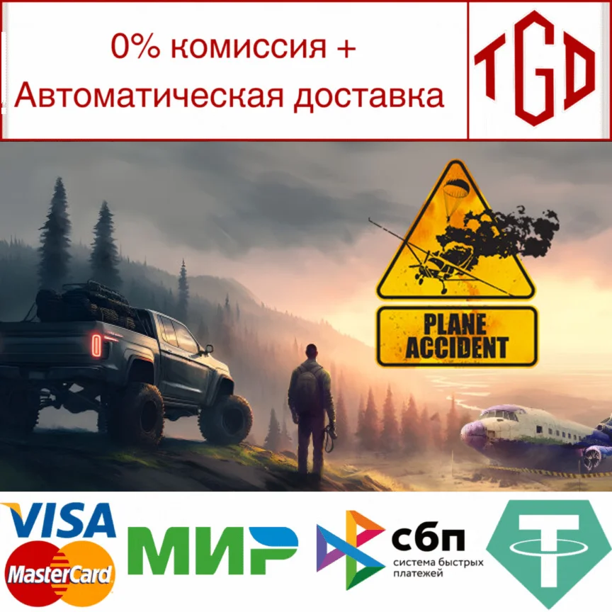  Plane Accident | Steam РУ+UA+KZ+СНГ