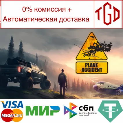 🔥 Plane Accident | Steam РУ+UA+KZ+СНГ 🔥