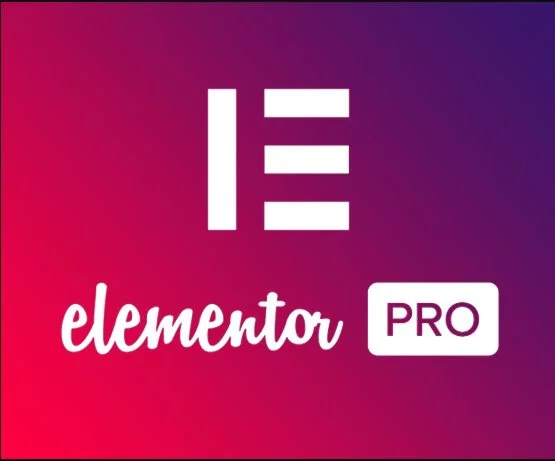 elementor-pro-v3.13.2-3quhx7
