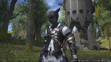 FINAL FANTASY XIV Online - Collector's Xbox Series X|S