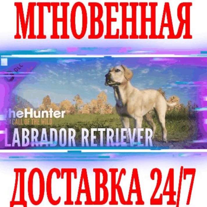 ✅theHunter: Call of the Wild Labrador Retriever ⭐Steam⭐