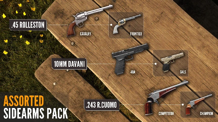 theHunter Call of the Wild Assorted Sidearms Pack⭐Steam