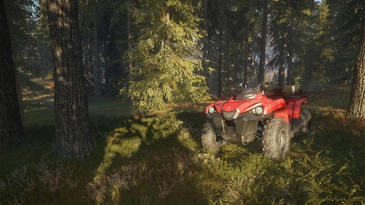 ✅theHunter: Call of the Wild ATV SABER 4X4 ⭐Steam\DLC⭐