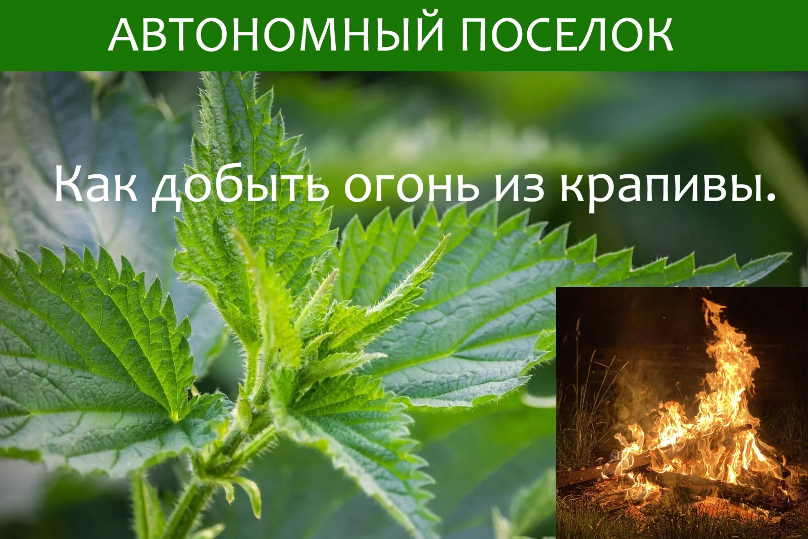 Как добыть огонь из крапивы. Статья.