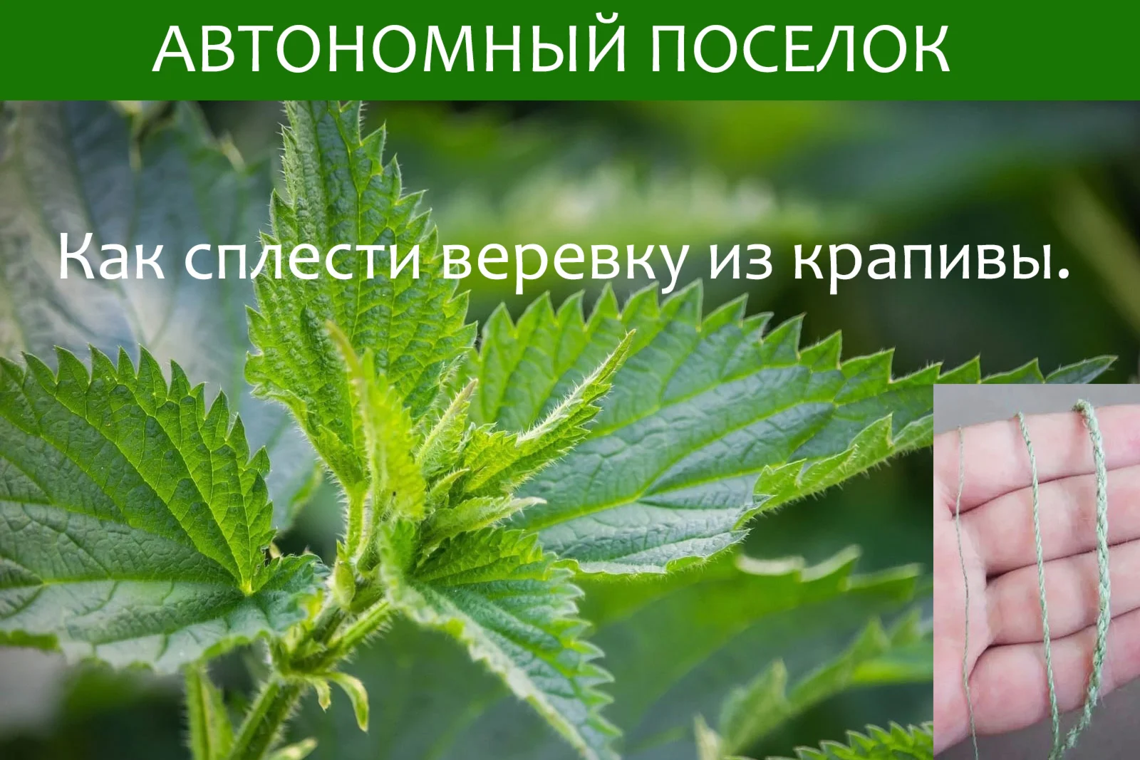 Как сплести веревку из крапивы. Статья.