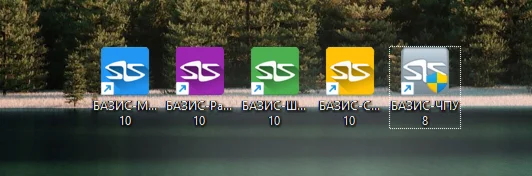БАЗИС мебельщик 10 + Библиотека