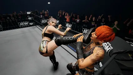 AEW: Fight Forever - Hayter's Gunna Game 💎 STEAM РОССИЯ