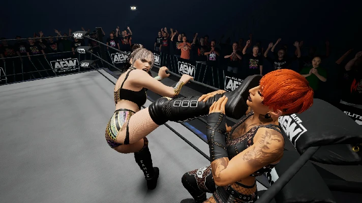 AEW: Fight Forever - Hayter´s Gunna Game 💎STEAM RUSSIA