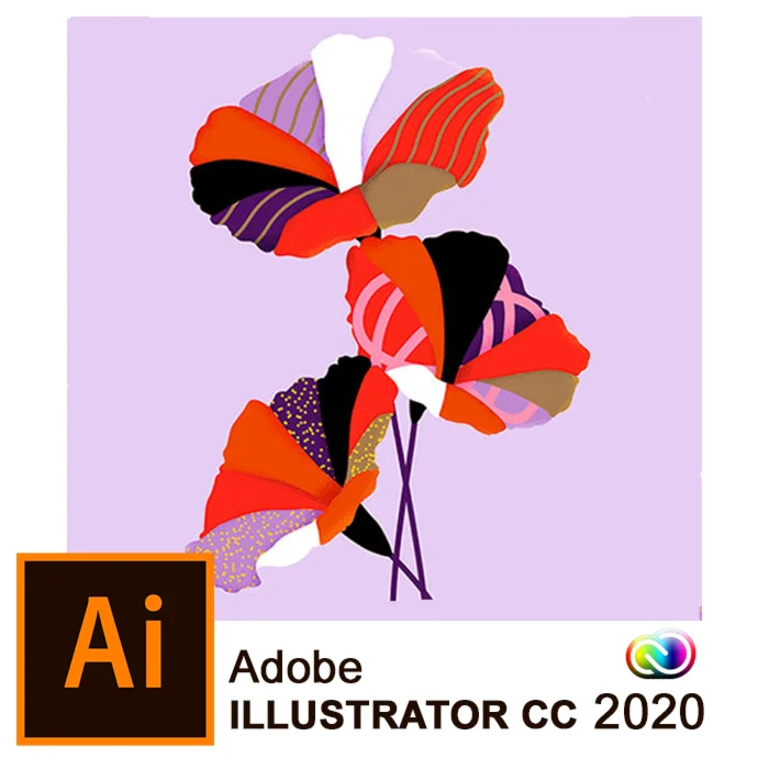 Adobe Illustrator CC 2020