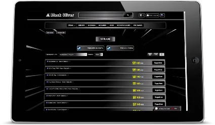 Black Silver CSS-Тема для каталога магазина Digiseller