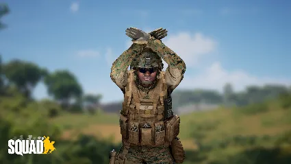 Squad Emotes - Outpost Pack DLC АВТОДОСТАВКА STEAM РОССИЯ