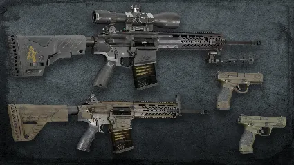 Squad Weapon Skins - Precision Strike Pack DLC АВТОДОСТАВКА STEAM РОССИЯ