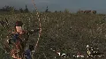 ✅Mount &amp; Blade Warband Vik — фото 3