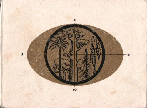 Олег Прокофьев. В мире растений.