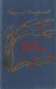 Владимир Сапожников. Роза-ругоза.