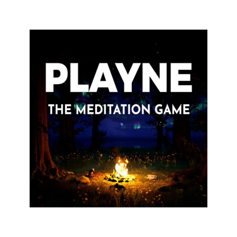 PLAYNE : The Meditation Game (SteamKey/RegionFree)