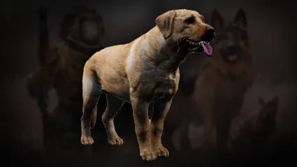 Icarus: Pet Companions Pack DLC АВТОДОСТАВКА STEAM РОССИЯ