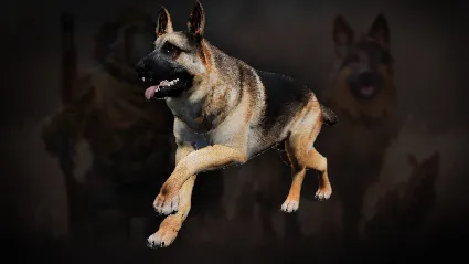 Icarus: Pet Companions Pack DLC АВТОДОСТАВКА STEAM РОССИЯ