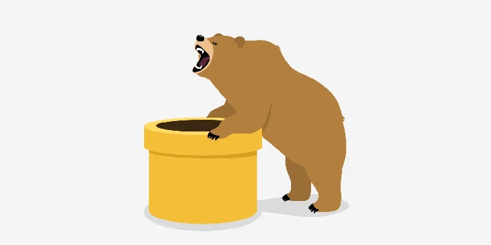 Tunnelbear VPN Premium Subscription 2025