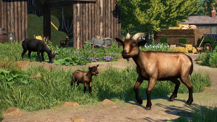 Planet Zoo: Barnyard Animal Pack * RU/KZ/CIS/TR/AR