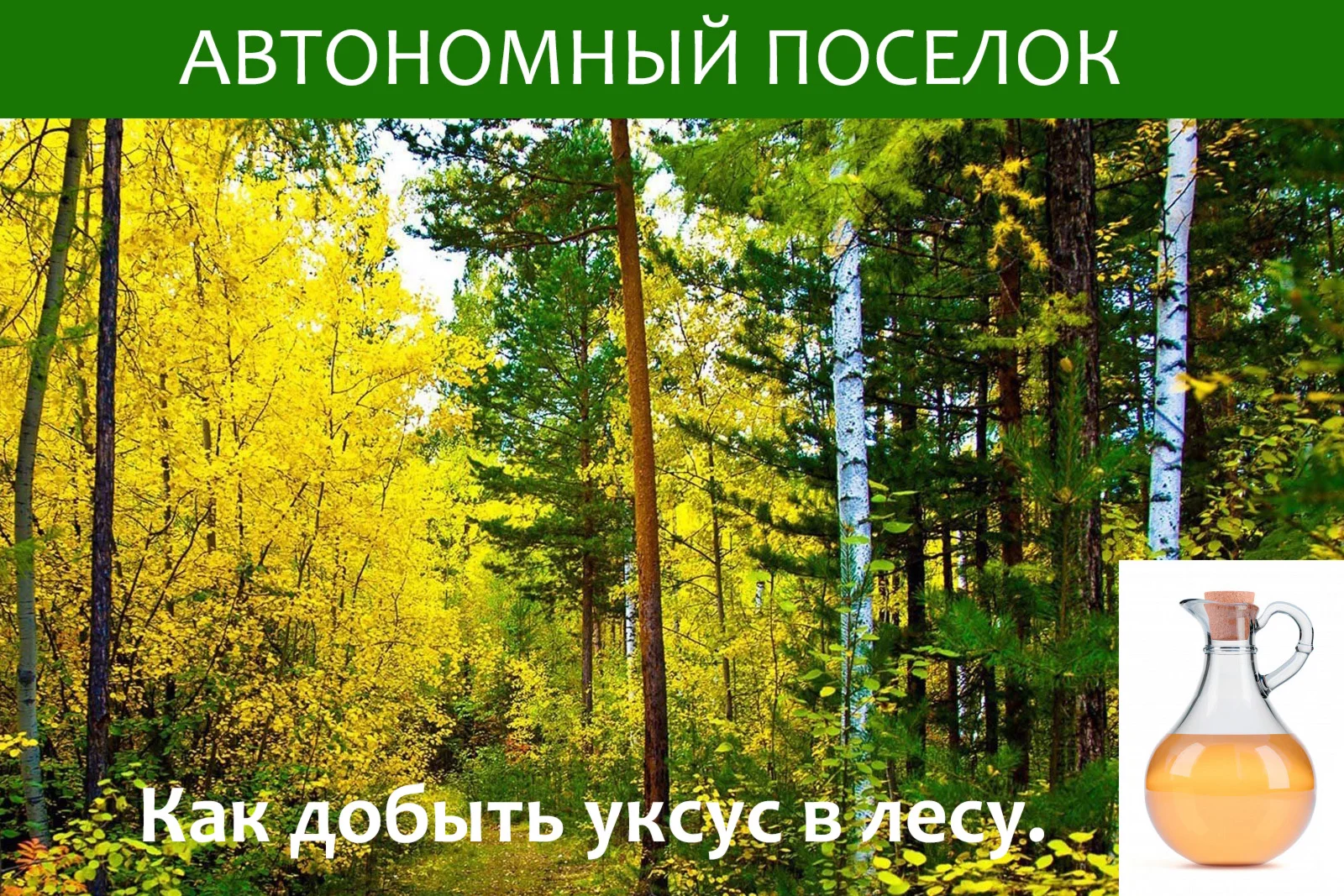 Как добыть уксус в лесу. Статья.