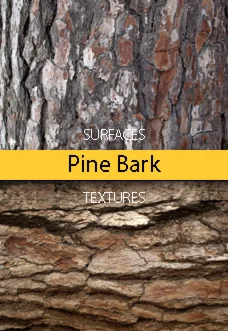 Pine Bark Surfaces Texture Backgrounds