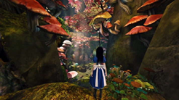 ⚡️Gift Russia - Alice: Madness Returns | AUTODELIVERY