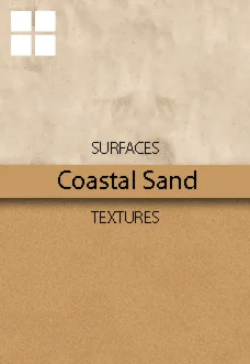 Coastal Sand Patterns