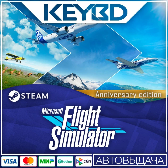 Microsoft Flight Simulator 40th Anniversary Edition🚀💳