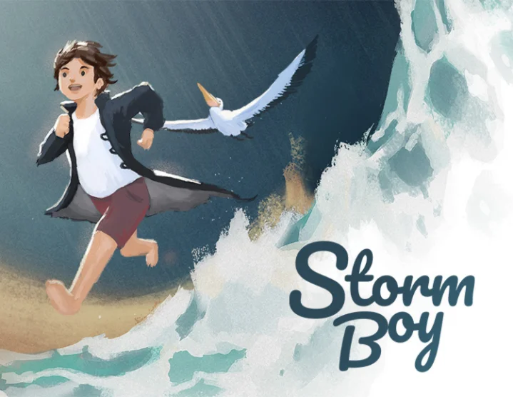 Storm Boy (steam key)