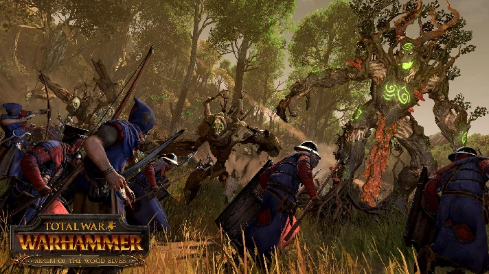 ✅Total War WARHAMMER Realm of The Wood Elves ⚫STEAM⭐DLC