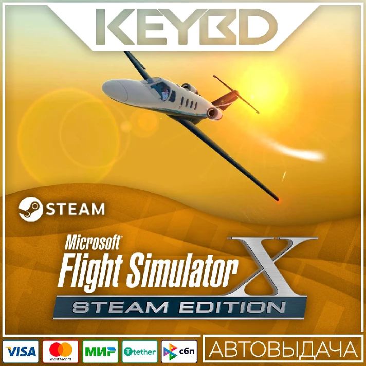 Microsoft Flight Simulator X · Steam Gift 🚀AUTO 💳0%