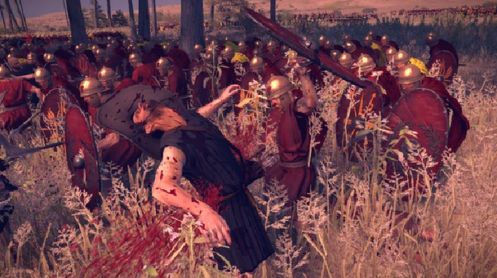 ⚡️Total War: ROME II - Blood & Gore (Bloodpack) AUTO RU